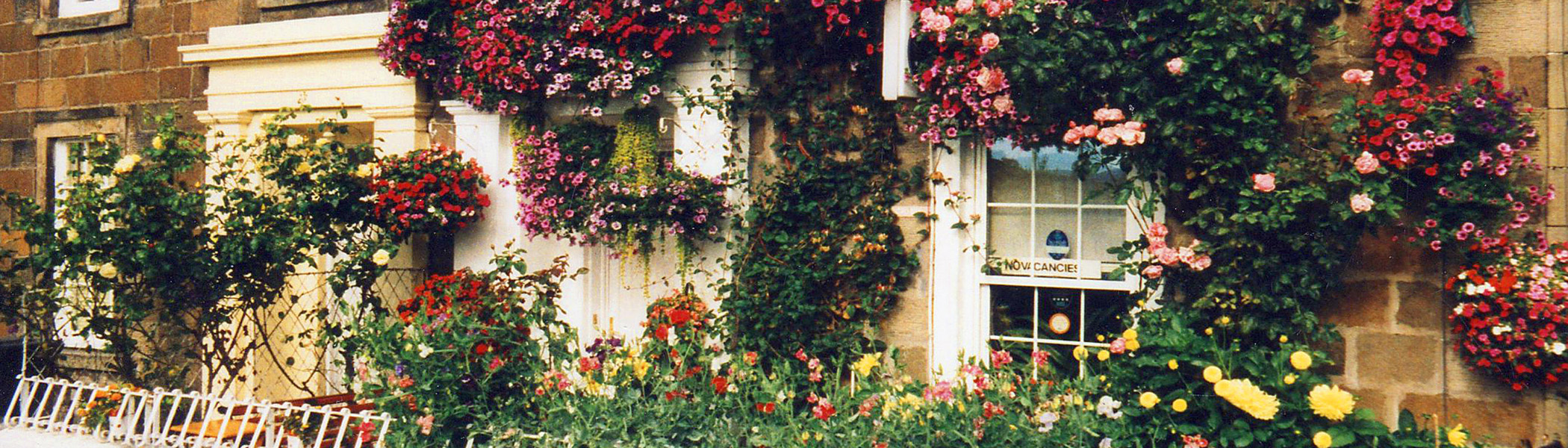 forth guest house Stirling in bloom forth guest house Stirling in bloom