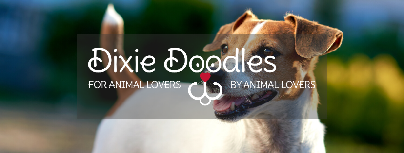 dixiedoodlespetsupplies